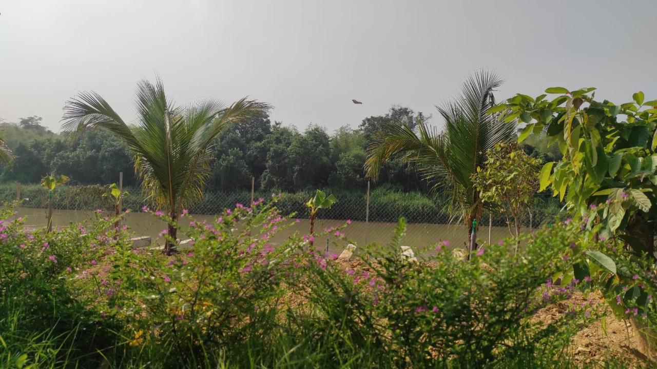 Homestay Dat Viet กั๊ตเตียน ภายนอก รูปภาพ
