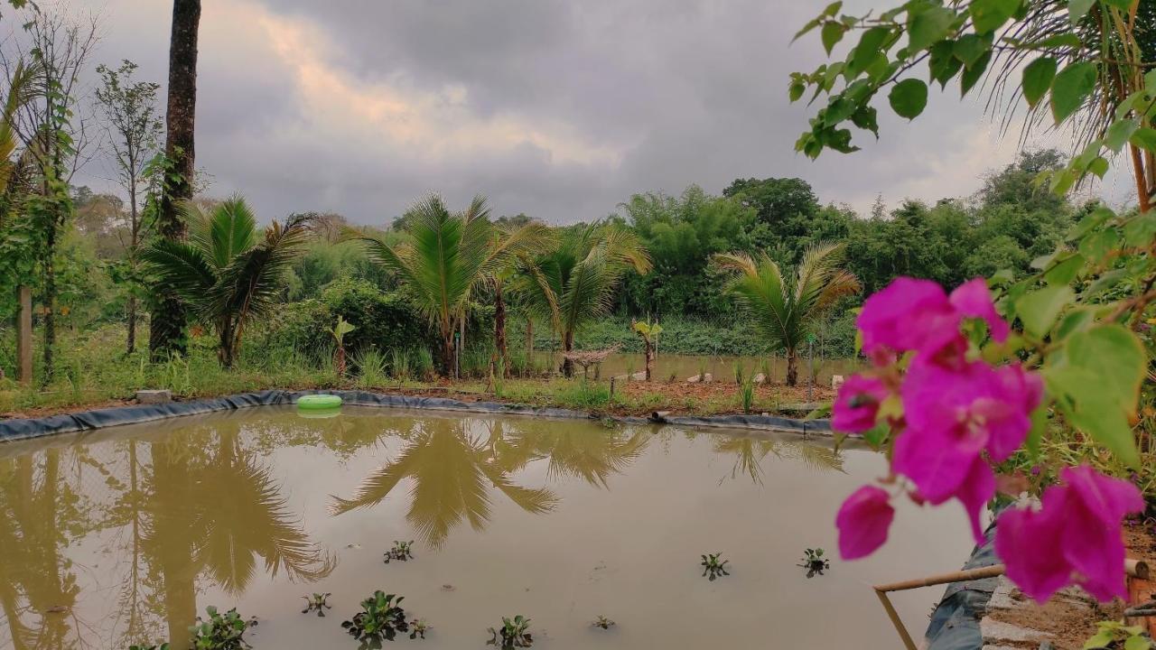 Homestay Dat Viet กั๊ตเตียน ภายนอก รูปภาพ