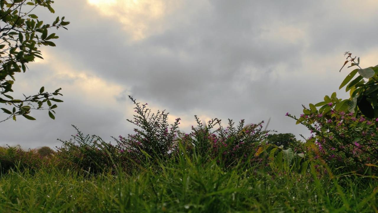 Homestay Dat Viet กั๊ตเตียน ภายนอก รูปภาพ