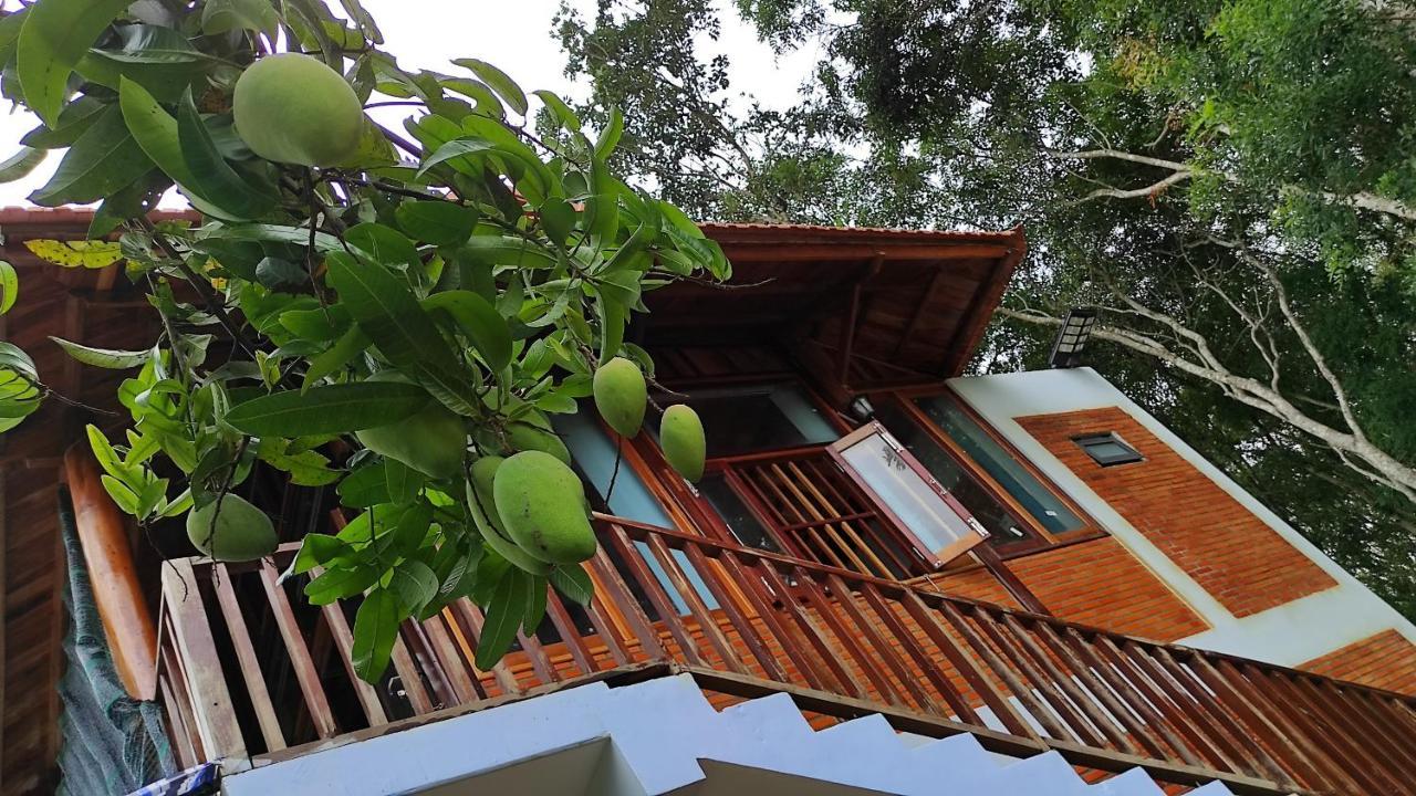 Homestay Dat Viet กั๊ตเตียน ภายนอก รูปภาพ